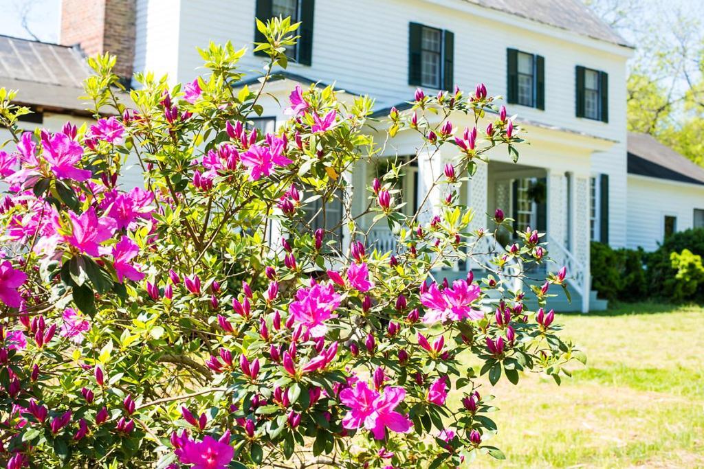 ساوث بوسطن Oak Grove Bed And Breakfast المظهر الخارجي الصورة
